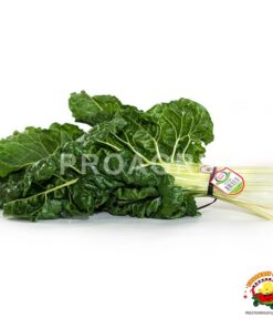 acelga
