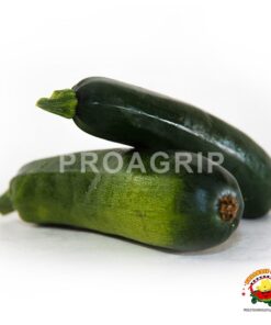 zuchini