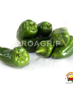 Pimiento
