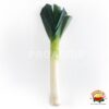cebolla
