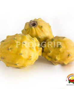 pitahaya