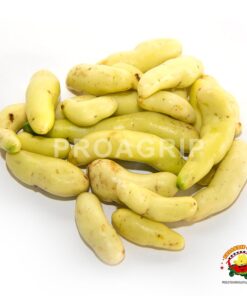 meloso blanco