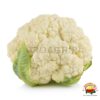 coliflor