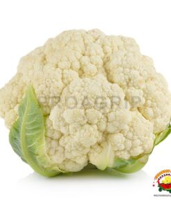 coliflor