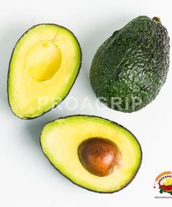 Aguacate