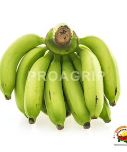 Plátano verde