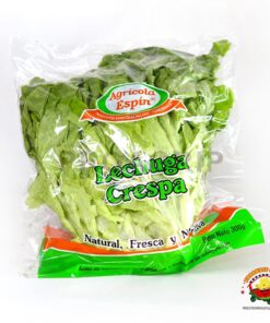 Lechuga crespa