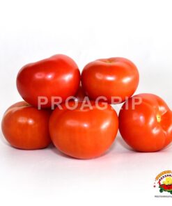 Tomate riñón