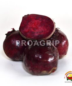 Remolacha