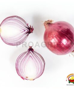 Cebolla paiteña