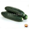 pepinillo