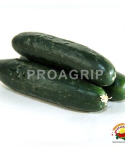 pepinillo