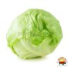 Lechuga Criolla
