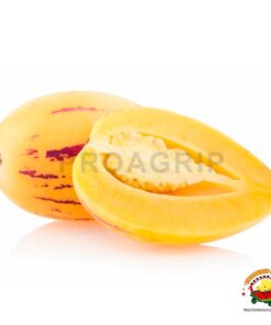 Pepino Dulce