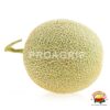 Melón