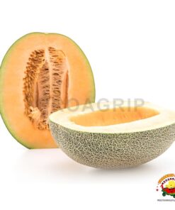 melón