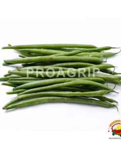 Arveja