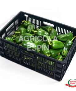 pimiento verde