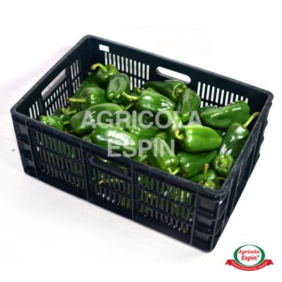 pimiento verde