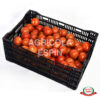 tomate riñón