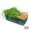 cilantro