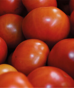 Verduras